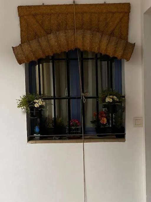 Hispalis Casa Pilatos Seville Apartment